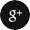 googleplusicon